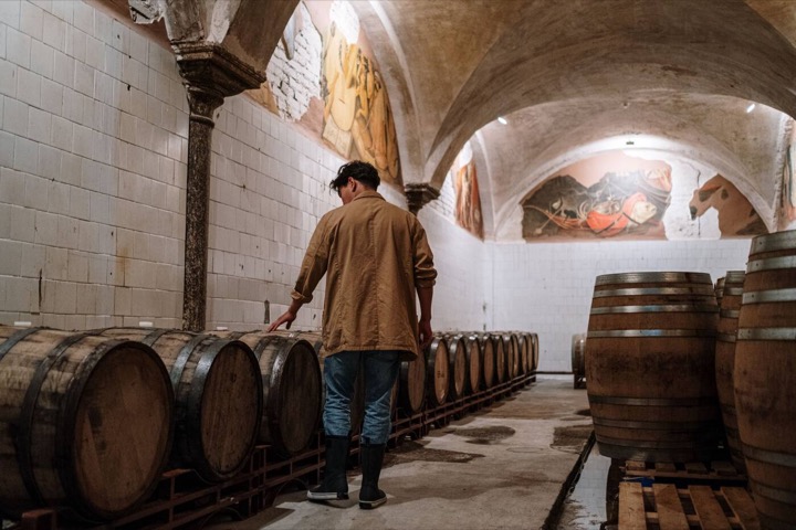 Person checking barrels in a wine cellar
