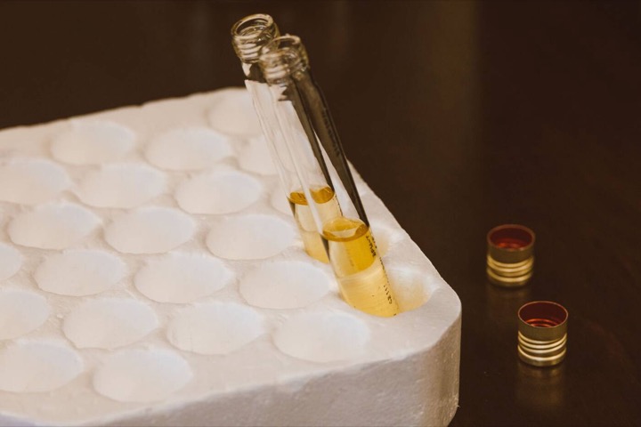 Sample tubes with liquid for wine analysis