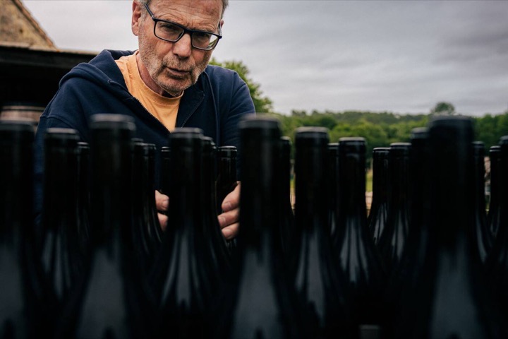 Person closely checking a row of wine bottles