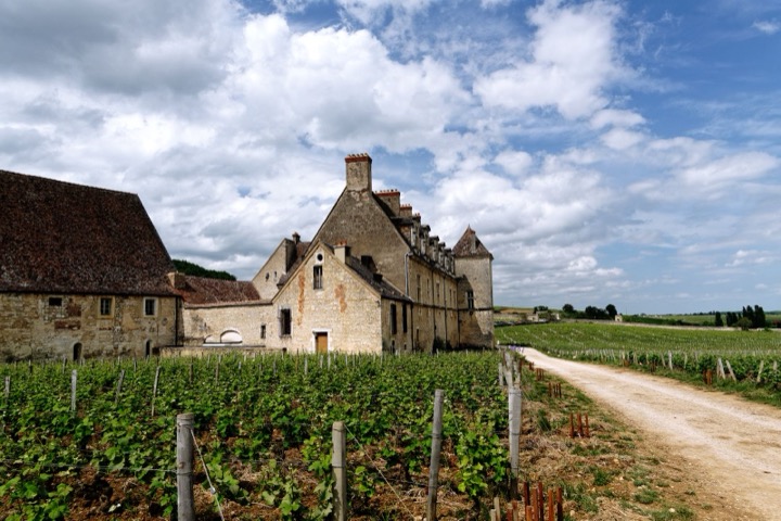 El Château de Vougeot rodeado de viñedos en la Côte-d'Or, Borgoña, Francia