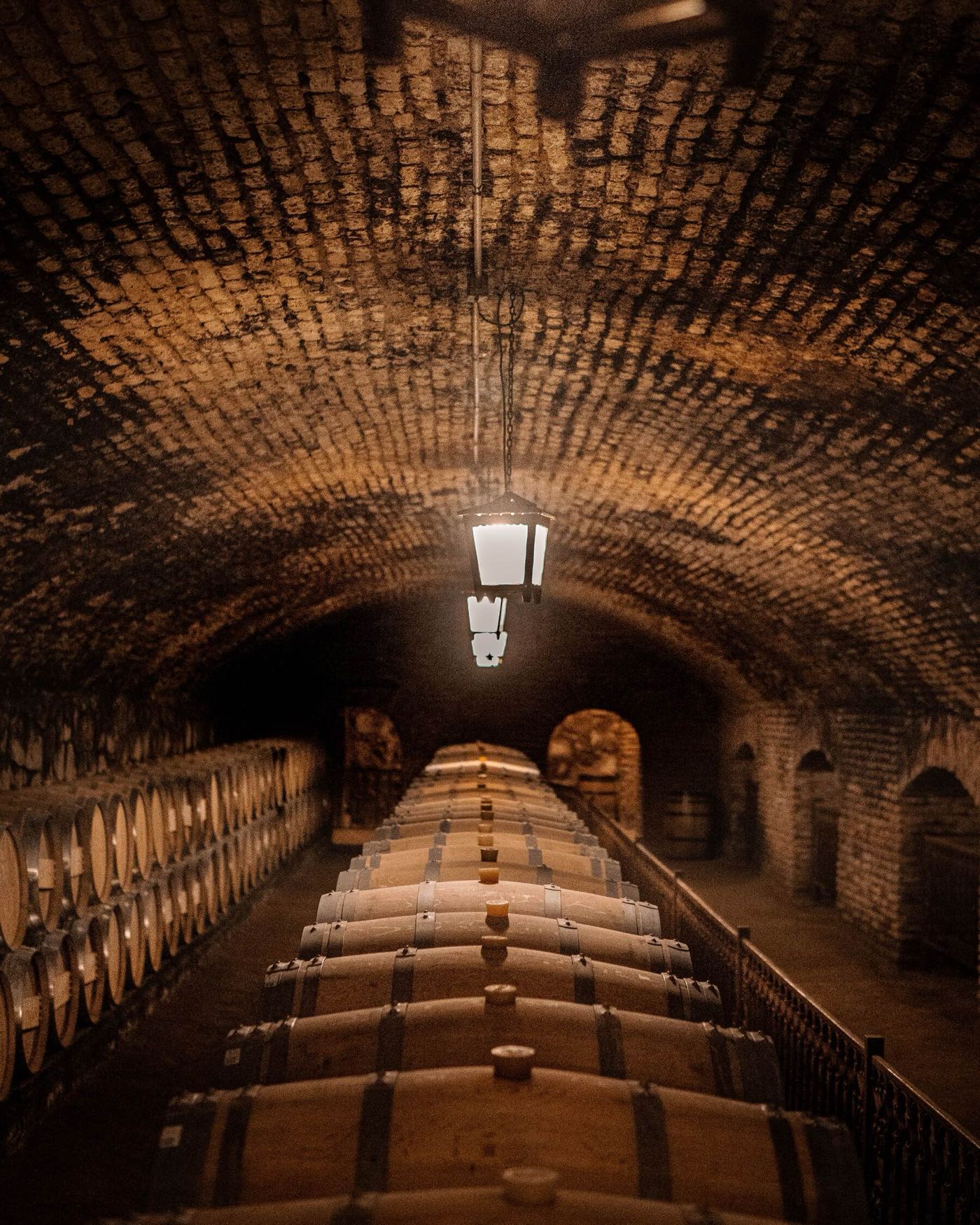 Cave souterraine voûtée en brique avec des rangées de barriques de chêne