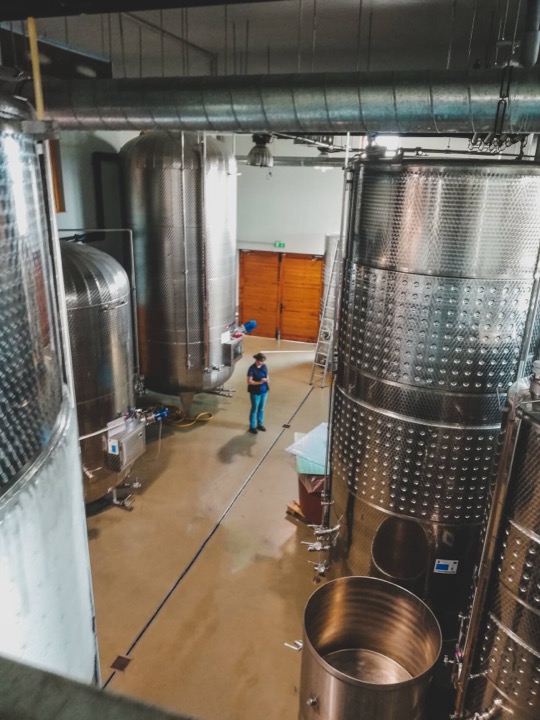 Steel fermentation tanks in a winery