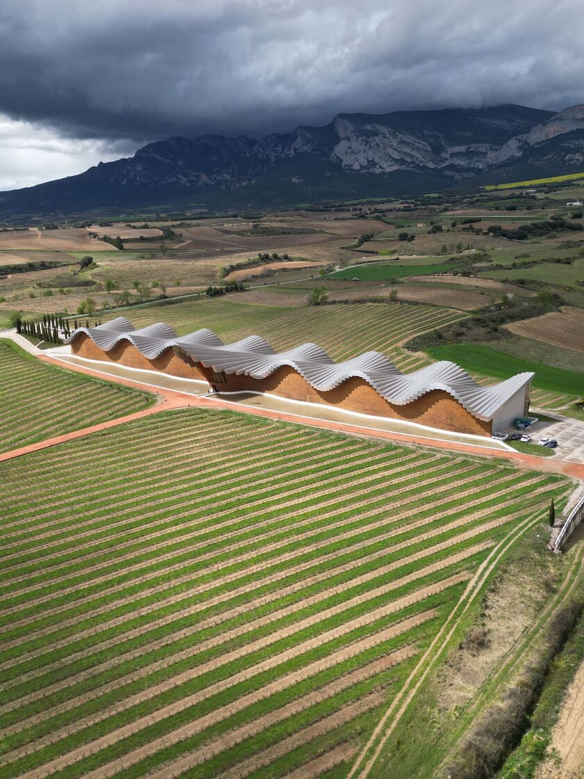 Bodega de techo ondulado entre viñedos de Rioja